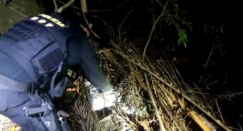 As drogas estavam escondidas em meio ao matagal