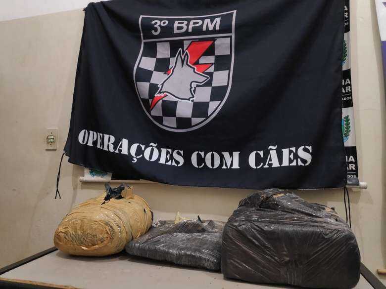 Maconha foi encontrada no bagageiro do ônibus