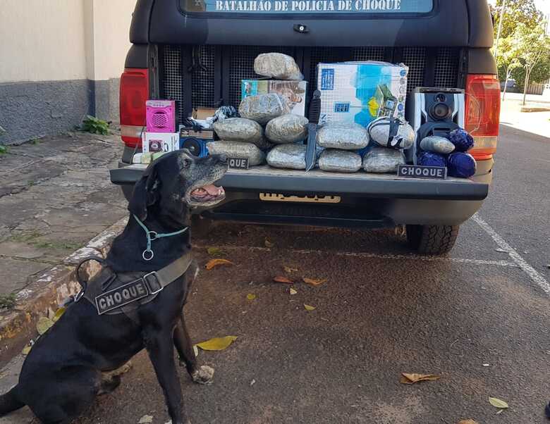 A equipe do canil do Batalh&atilde;o de Choque da Pol&iacute;cia Militar apoiou a opera&ccedil;&atilde;o no combate ao tr&aacute;fico de drogas