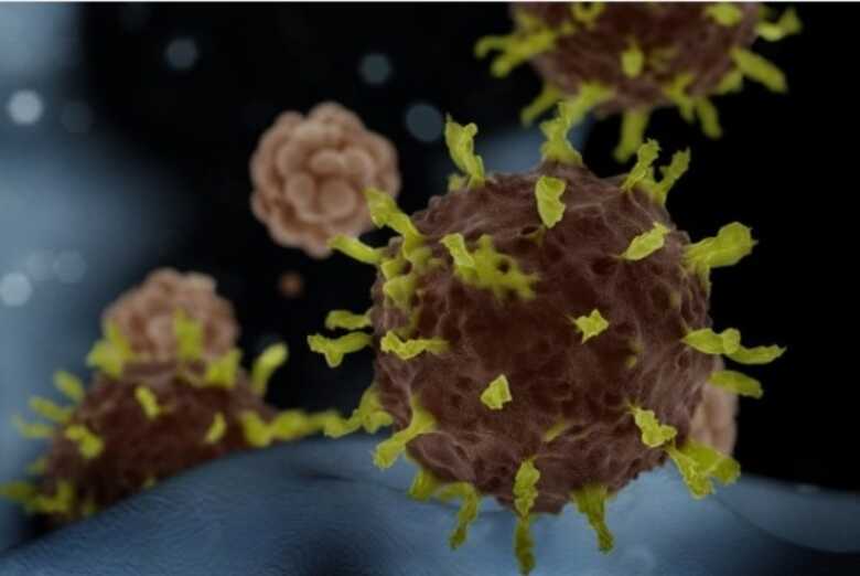 Dourados e Corumb&aacute; s&atilde;o as duas cidades com mais &oacute;bitos por Covid-19 do Mato Grosso do Sul