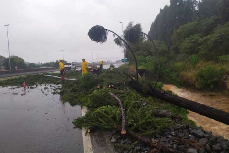 Corpo de bombeiros em Santa Catarina após ciclone: desabamento de árvores levou a pelo menos uma morte no estado