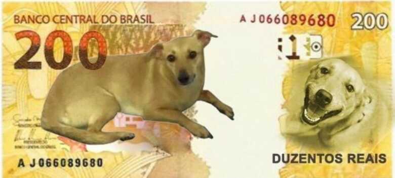 Um dos memes realizados com o "dog caramelo" e a nova nota de R$ 200,00