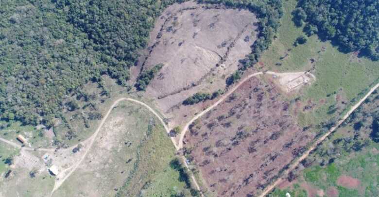 Policiais usaram drone, GPS imagem de sat&eacute;lites para confirmar o crime ambiental
