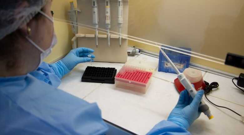 Laboratório de Virologia Aplicada analisa amostras de diversos materiais