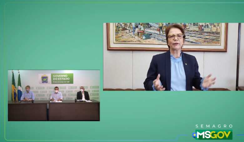 Live exibida no perfil do facebook do Governo do Estado de Mato Grosso do Sul