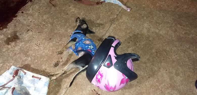 O cachorro de raça pequena, foi socorrido machucado, mas um dia depois acabou morrendo