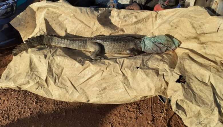 Pena para esse tipo de crime, &eacute; de seis meses a um ano de deten&ccedil;&atilde;o