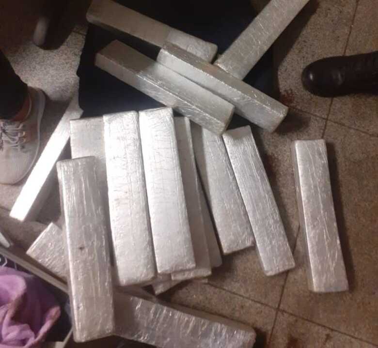 Apreensão foi feita pela Guarda Civil Metropolitana