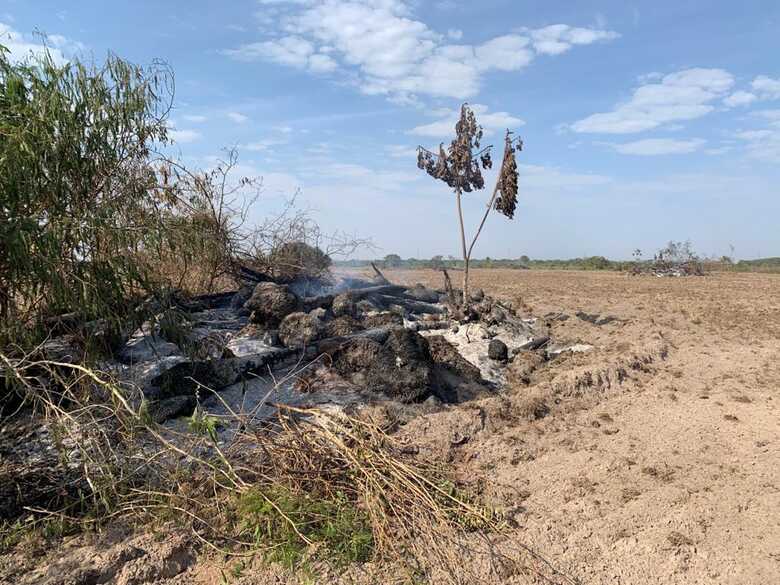 Área foi aferida com uso de GPS e perfez 5,63 hectares e que está destinada ao plantio de mandioca