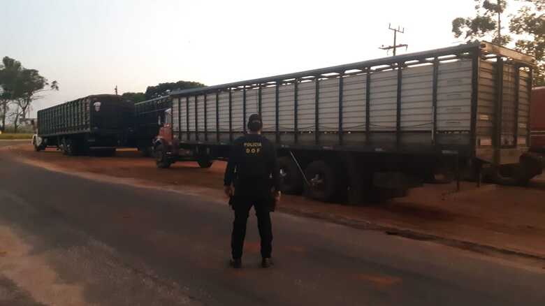 A apreensão ocorreu durante fiscalização de rotina da Iagro