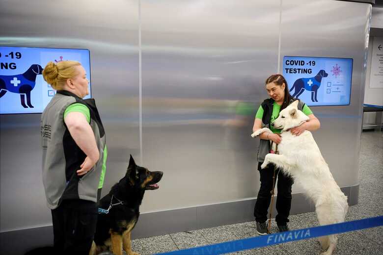 Os cachorros Valo e E.T. com seus treinadores no Aeroporto Internacional de Helsinque-Vantaa, Finlândia