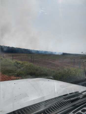 Fazenda de Eucalipto é incendiada por indígenas no interior do estado
