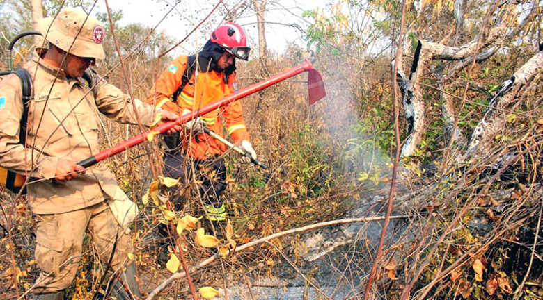 Multas ambientais aplicadas por incêndio no Estado já chega a R$ 3,77 milhões
