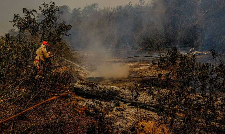 No Mato Grosso, as chamas consumiram 2,05 milhões de hectares.