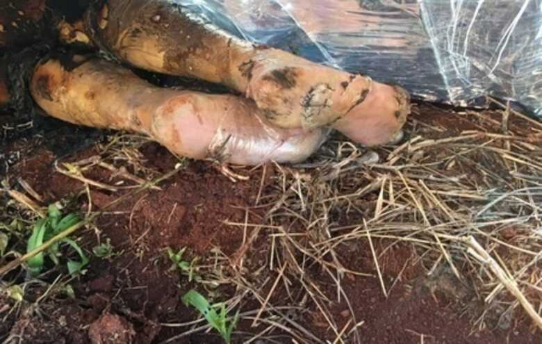 As duas mulheres est&atilde;o presas preventivamente desde abril de 2019.