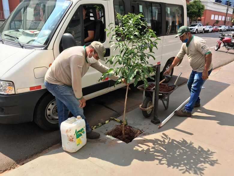 Projeto de paisagismo faz parte do Programa Reviva Campo Grande
