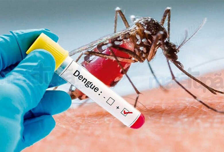 Campanha "Aproveite a Quarentena e Limpe o seu Quintal" é neste sábado