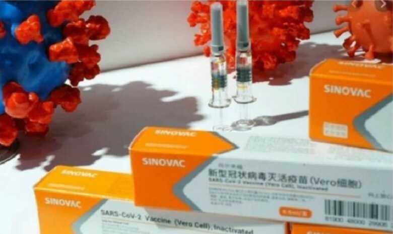 A vacina Coronavac é desenvolvida em parceria entre o governo do estado de São Paulo e o laboratório chinês Sinovac