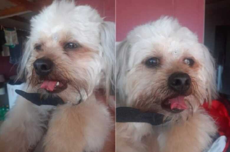 Scott tem dificuldades para beber água, comer e dormir por causa da dor