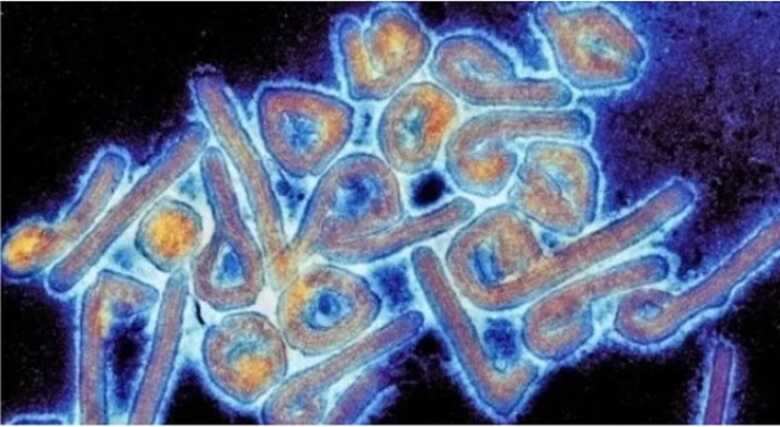 Cientistas alegam que fluidos corpóreos têm potencial para carregar o vírus