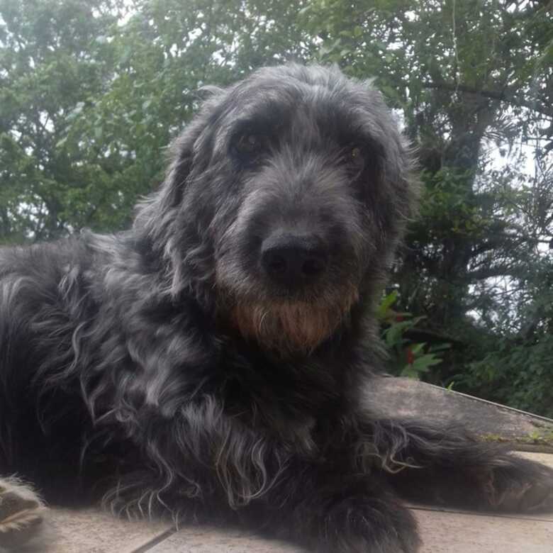 Tufão está internado e se recupera bem