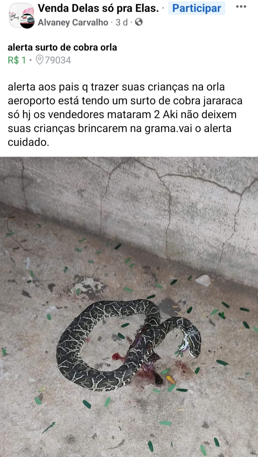 Como anda a população de cobras no Brasil?