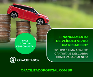 O Facilador