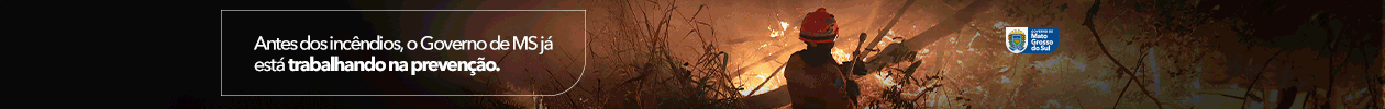 Governo Incendios - Jun25