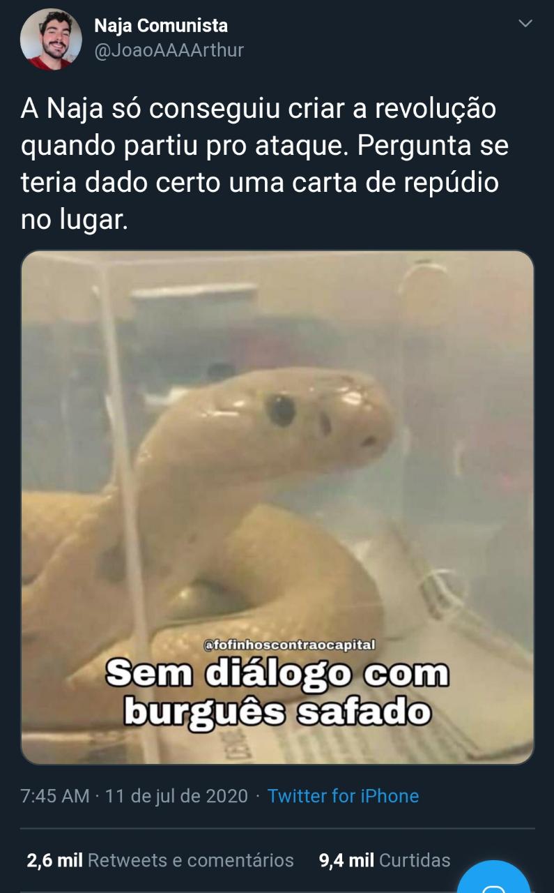 Cobra Naja de Brasília vira a queridinha da internet brasileira: veja os  melhores memes